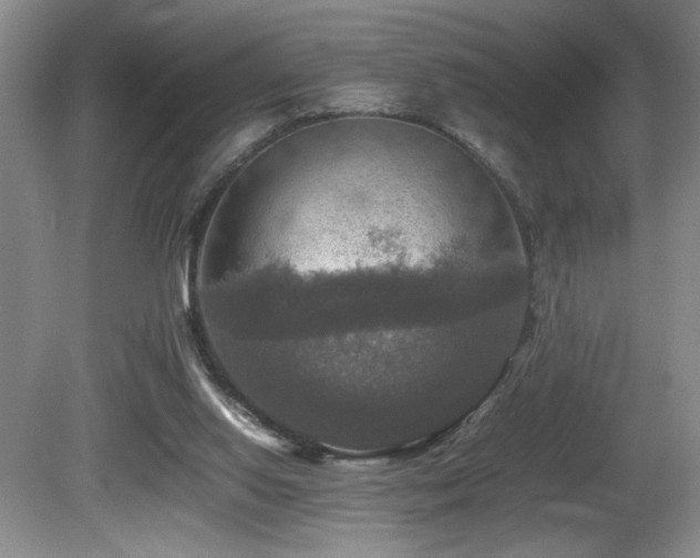 X0000081590062200701151320