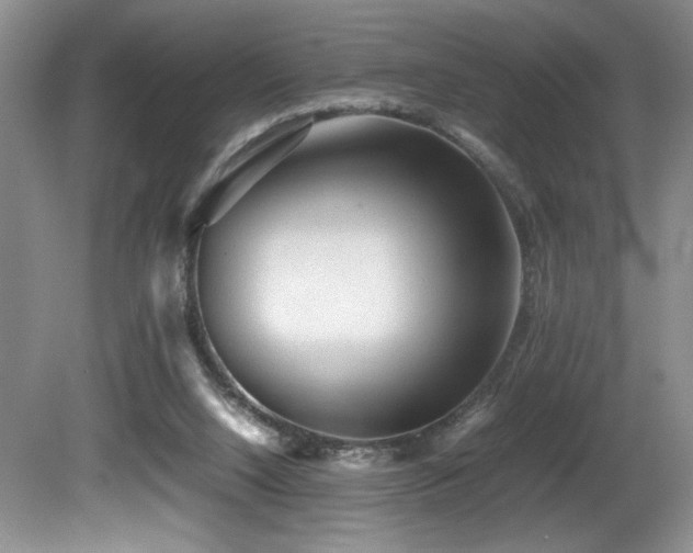 X0000081590064200701151320