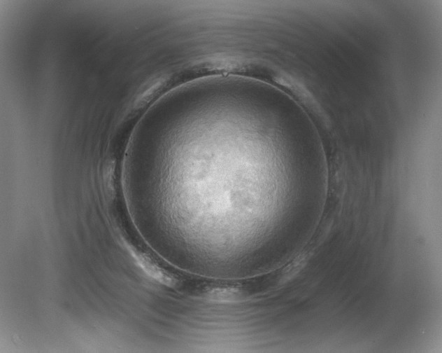 X0000081590066200701151320