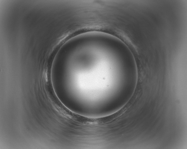 X0000081590068200701151320