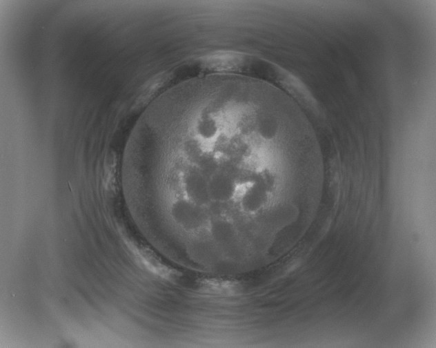 X0000081590073200701151320