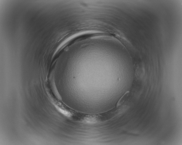 X0000081590076200701151320