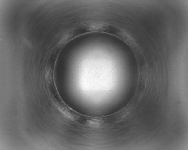 X0000081590079200701151320