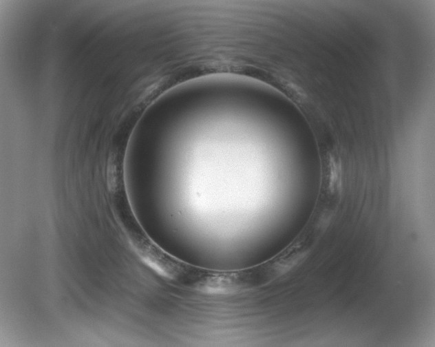 X0000081590080200701151320