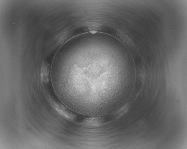 X0000081590082200701151320
