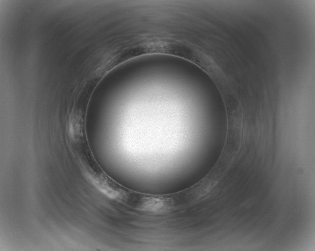 X0000081590083200701151320