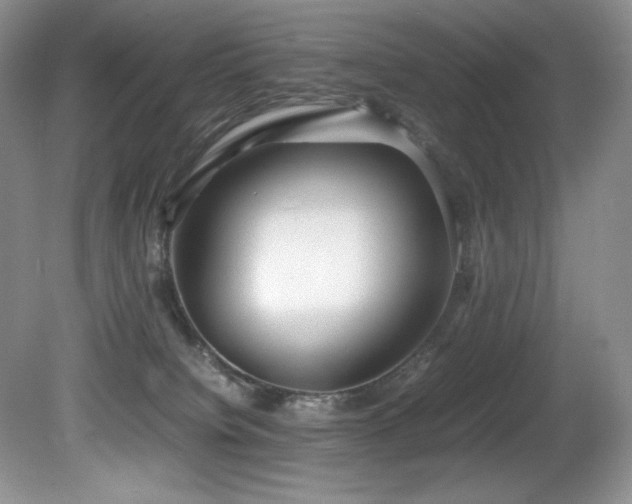 X0000081590084200701151320
