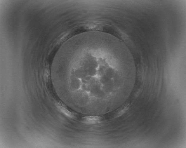 X0000081590085200701151320
