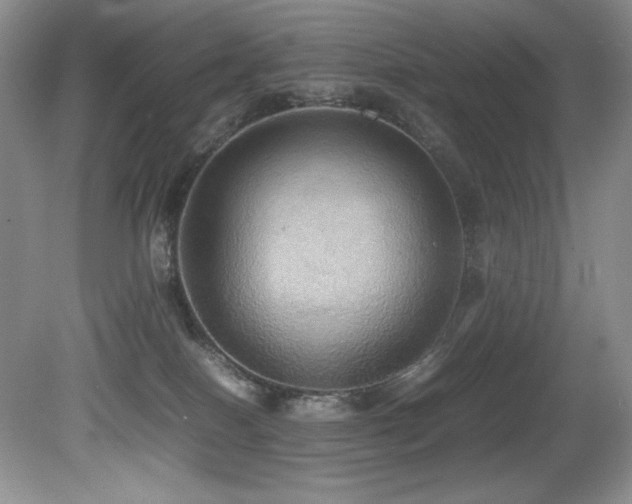 X0000081590086200701151320
