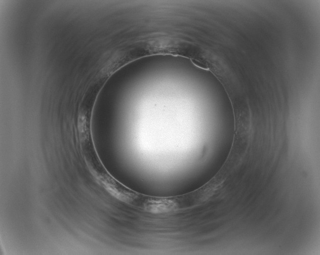 X0000081590087200701151320