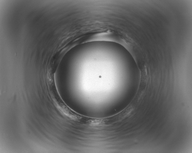 X0000081590088200701151320