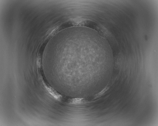 X0000081590090200701151320