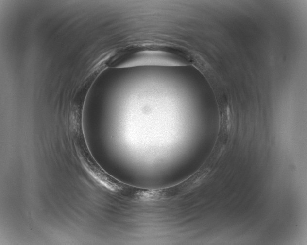 X0000081590092200701151320