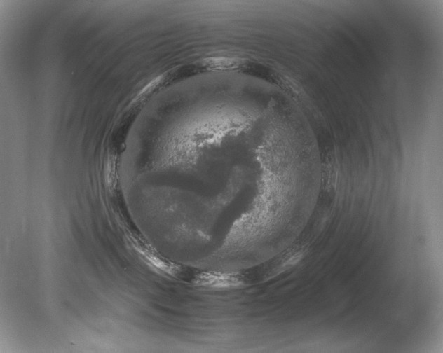 X0000081590093200701151320