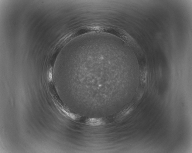 X0000081590095200701151320