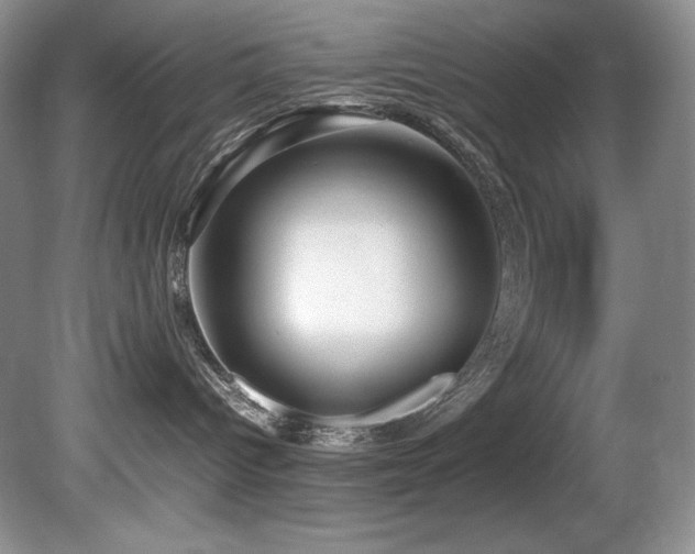 X0000081590096200701151320