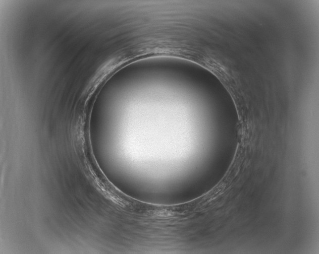 X0000081590098200701151320