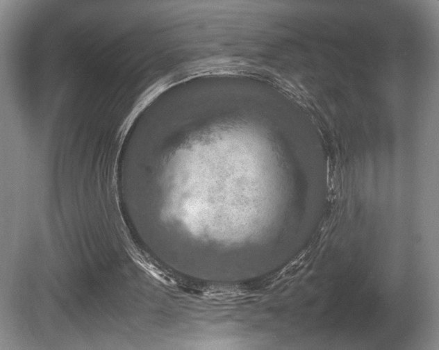 X0000081590099200701151320