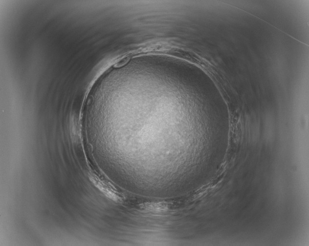 X0000081590100200701151320