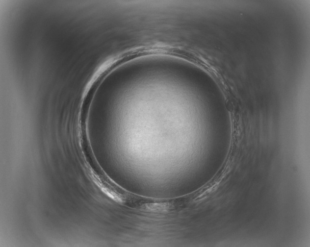 X0000081590102200701151320