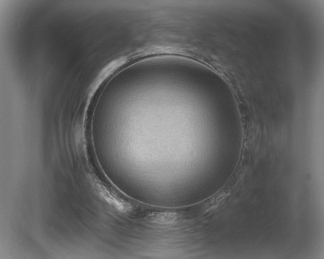 X0000081590104200701151319