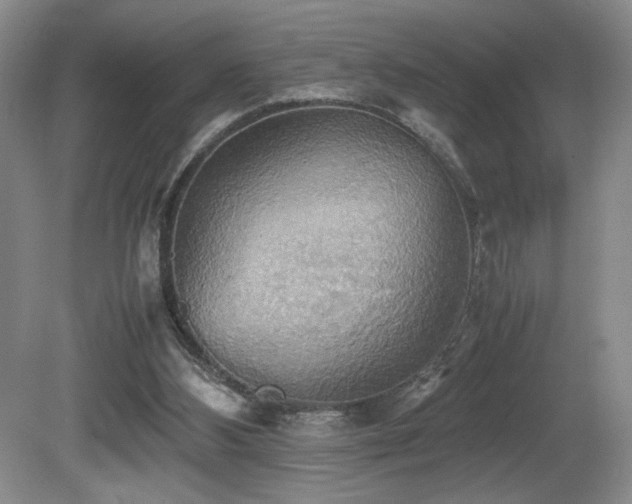 X0000081590108200701151319