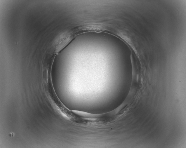 X0000081590109200701151319
