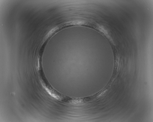 X0000081590110200701151319