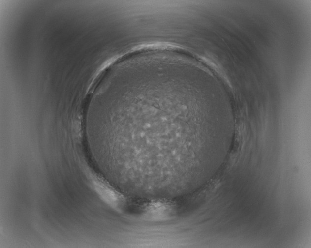 X0000081590111200701151319