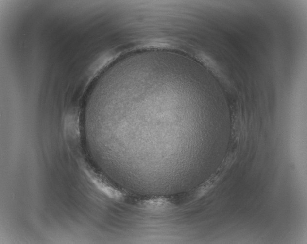 X0000081590112200701151319