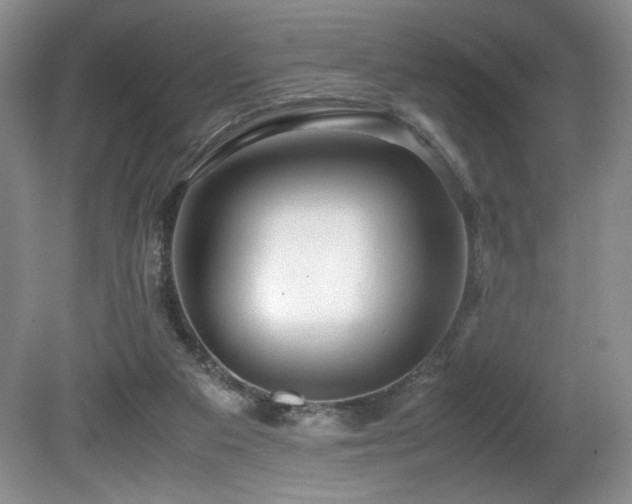 X0000081590113200701151319