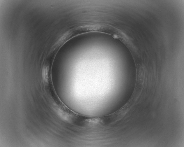 X0000081590118200701151319