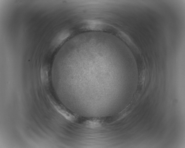 X0000081590120200701151319