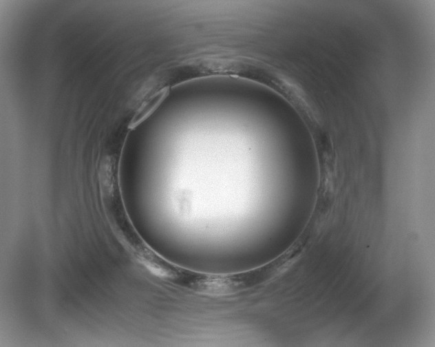 X0000081590121200701151319