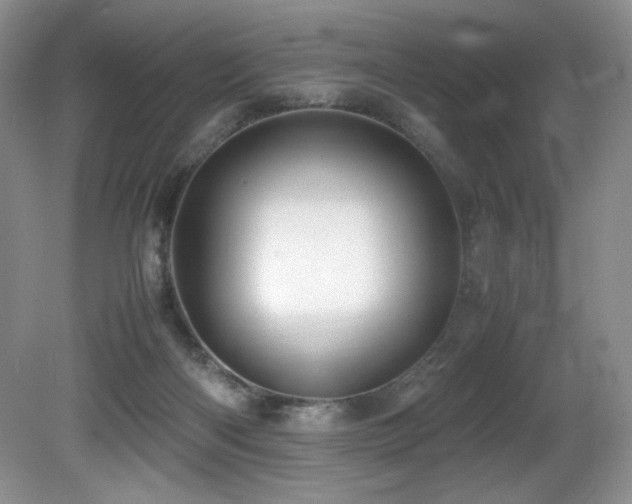 X0000081590122200701151319