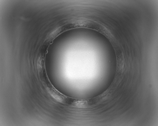 X0000081590126200701151319