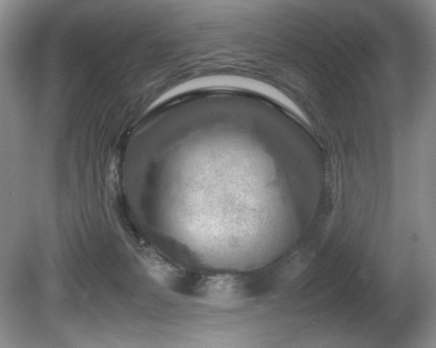 X0000081590127200701151319