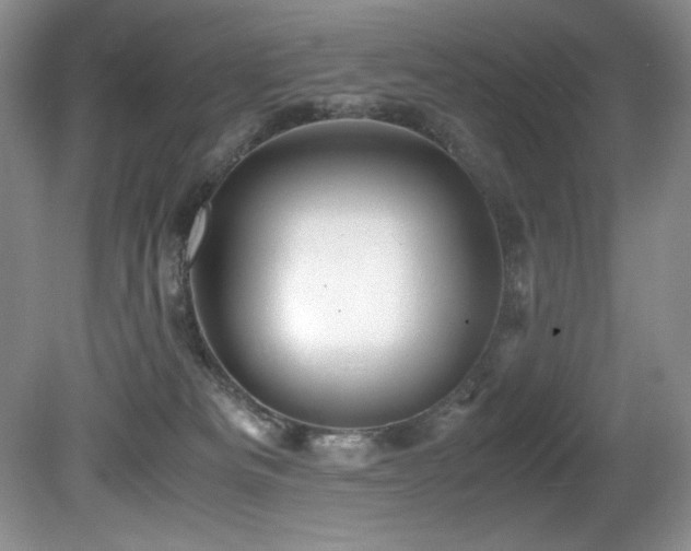 X0000081590133200701151319