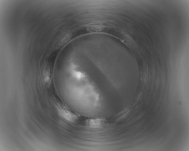 X0000081590134200701151319