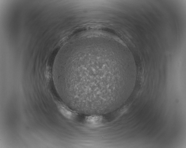 X0000081590135200701151319