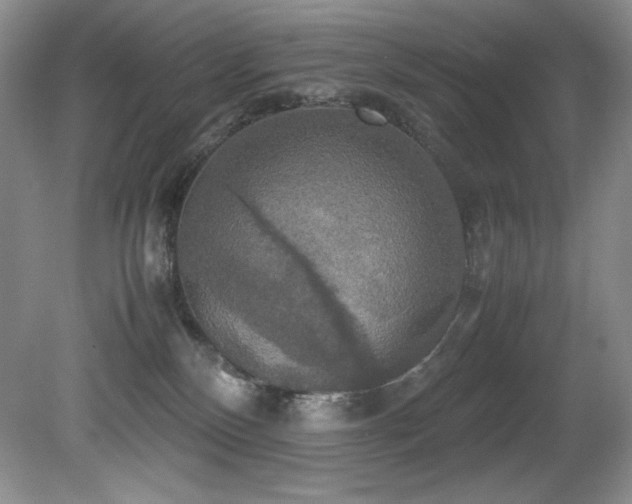 X0000081590136200701151319