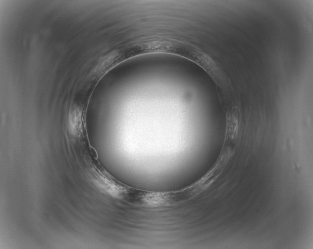 X0000081590142200701151319