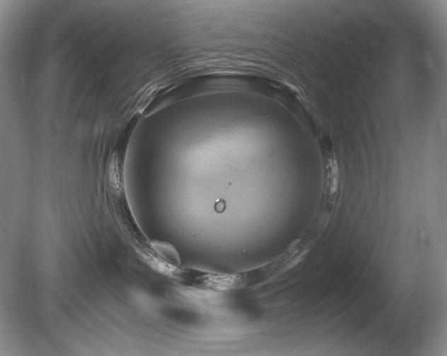 X0000081590143200701151319