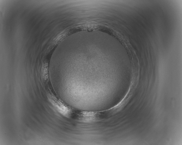 X0000081590144200701151319