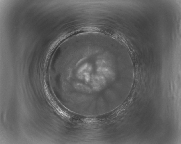 X0000081590145200701151318