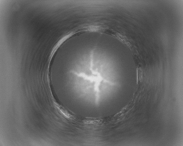 X0000081590147200701151318