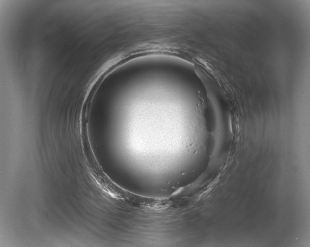 X0000081590148200701151318