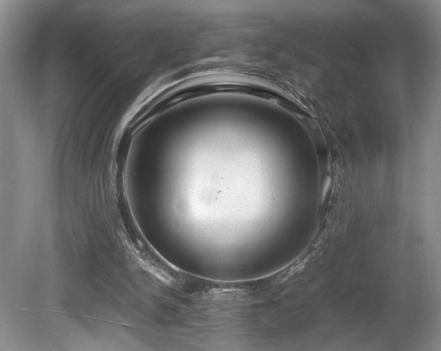 X0000081590150200701151318