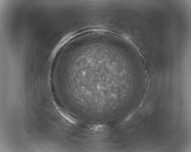 X0000081590151200701151318