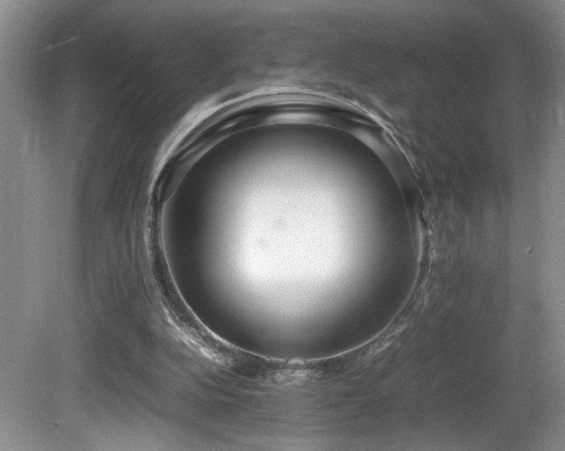 X0000081590152200701151318